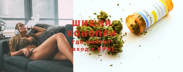 PSILOCYBIN Горнозаводск