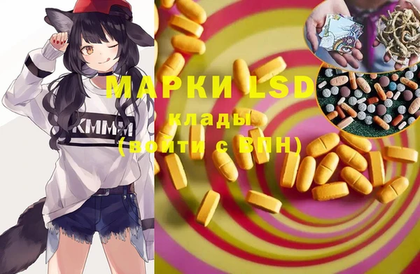 PSILOCYBIN Горнозаводск