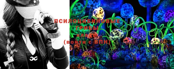 мдпв Горно-Алтайск