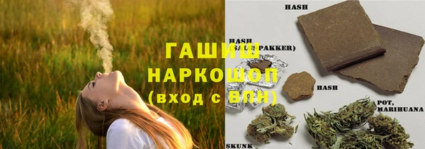мдпв Горно-Алтайск