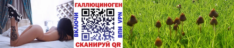 как найти наркотики  Чехов  Галлюциногенные грибы MAGIC MUSHROOMS 